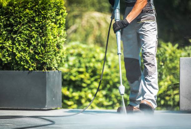 Best Spring Cleaning  in Blawnox, PA